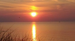 obrázek - Pinery Provincial Park