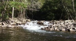 obrázek - Lehigh Gorge State Park