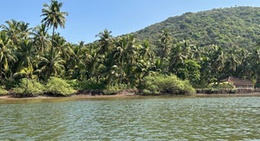 obrázek - Bhogave Beach