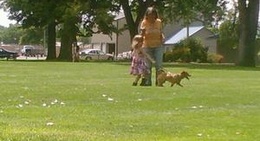 obrázek - Memorial Park