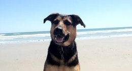 obrázek - Topsail Beach, Access #0-12