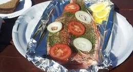 obrázek - Kotka Forell