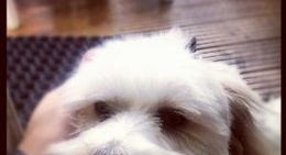 obrázek - Plouzané