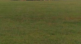 obrázek - New Albany Park