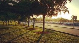 obrázek - Miami Dade College - North Campus