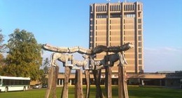 obrázek - Brock University