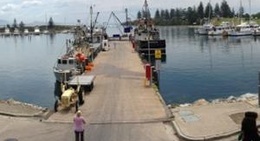 obrázek - Bermagui Harbour
