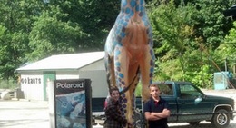 obrázek - Froggy Bottom Diner