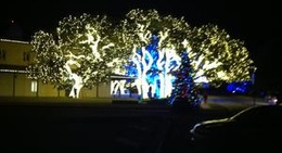 obrázek - City of Johnson City