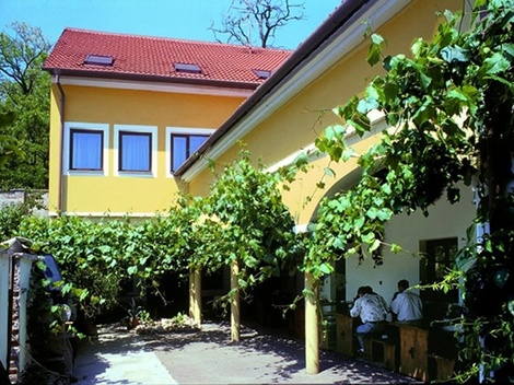 obrázek - Vinařský pobyt v Hotelu Weiss Lechovice