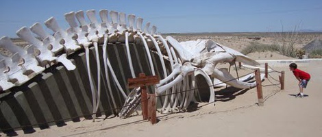 obrázek - Las Conchas