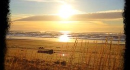 obrázek - Bennett's