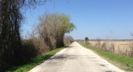 obrázek - Smithville, TX