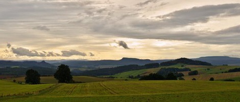 obrázek - Ehrenberg