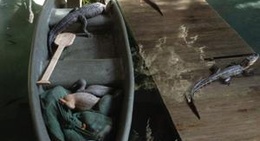 obrázek - Paragon Casino Resort