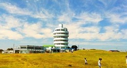 obrázek - 望楼の芝生