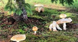 obrázek - Glasgow Hills Golf Course