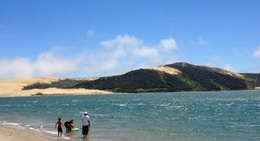 obrázek - Boar & Marlin