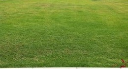 obrázek - Club Residencial Ribera del Chante