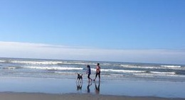 obrázek - Grayland Beach -Midway Beach Access