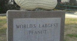 obrázek - World's Largest Peanut