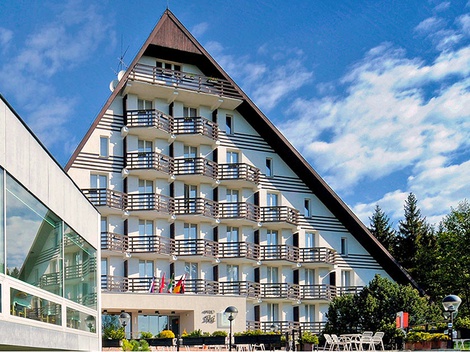 obrázek - Vysočina: Žďárské vrchy v hotelu s
