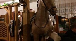 obrázek - Crazy Horse