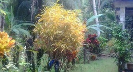 obrázek - Across the sea