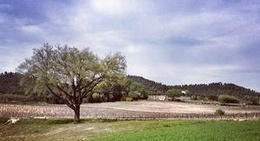 obrázek - Château Val Joanis