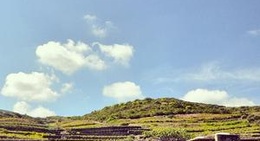 obrázek - Donnafugata