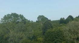 obrázek - Yayla Mahallesi