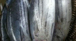 obrázek - Oluvil Port