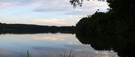 obrázek - Schwielochsee