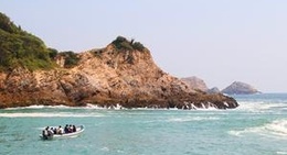 obrázek - Pichilinguillo Michoacán