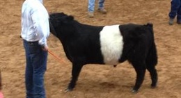 obrázek - Athens, TX