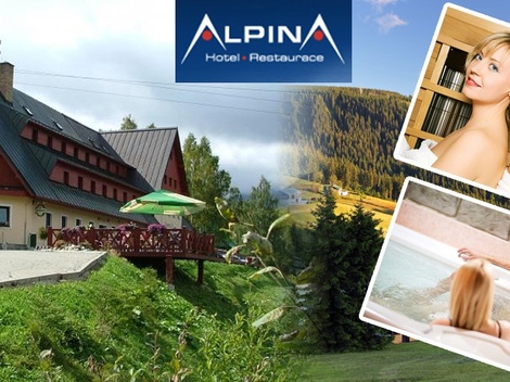 obrázek - Wellness pobyt v hotelu Alpina -
