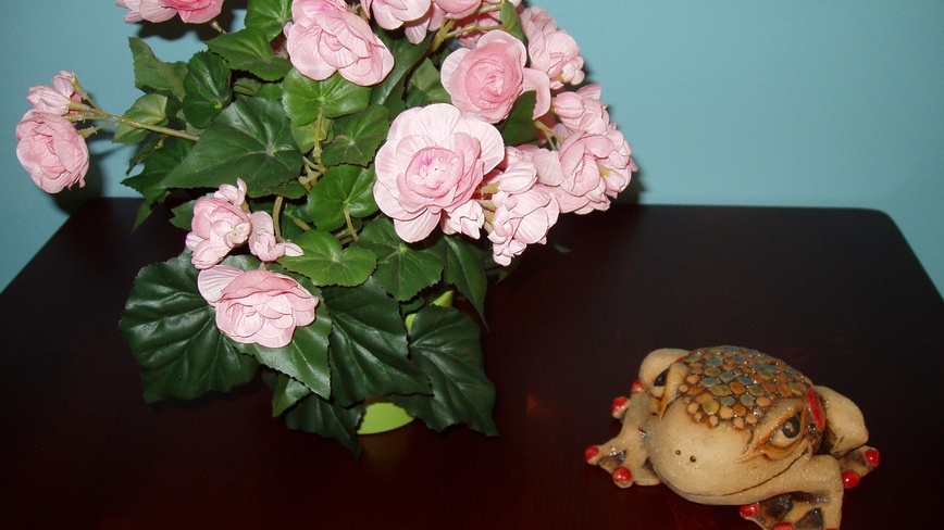 Apartmány U Aurory - apartmán U hastrmánka - apartmán U hastrmánka