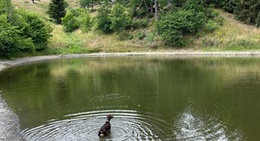 obrázek - Tajch Ottergrund