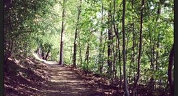 obrázek - Straussee Wanderweg