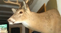 obrázek - Blue Lake