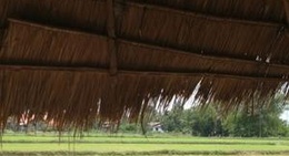 obrázek - สวนอาหารสุธาทิพย์