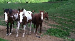 obrázek - Dutch Creek Trails