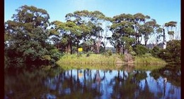 obrázek - Snowy River