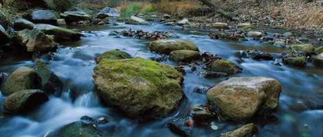 obrázek - Redwood Falls