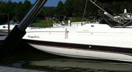 obrázek - Green Turtle Bay