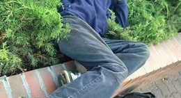 obrázek - Art Cafe Bistro & Bar