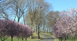 obrázek - Glen Head Country Club