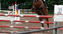 obrázek - Feldweg Wiesloch