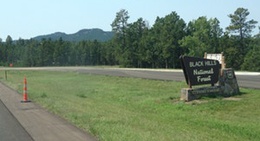 obrázek - Black Hills National Forest