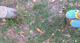 obrázek - สวนสาธารณะสมเด็จย่า